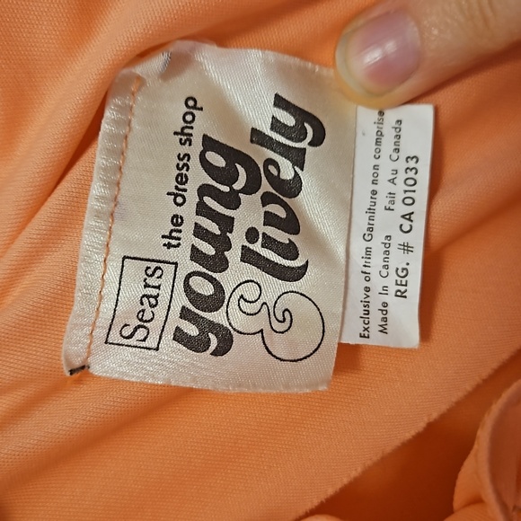 70s Coral/peach Maxi Dress Vintage Empire Waist Dress - Picture 3 of 7